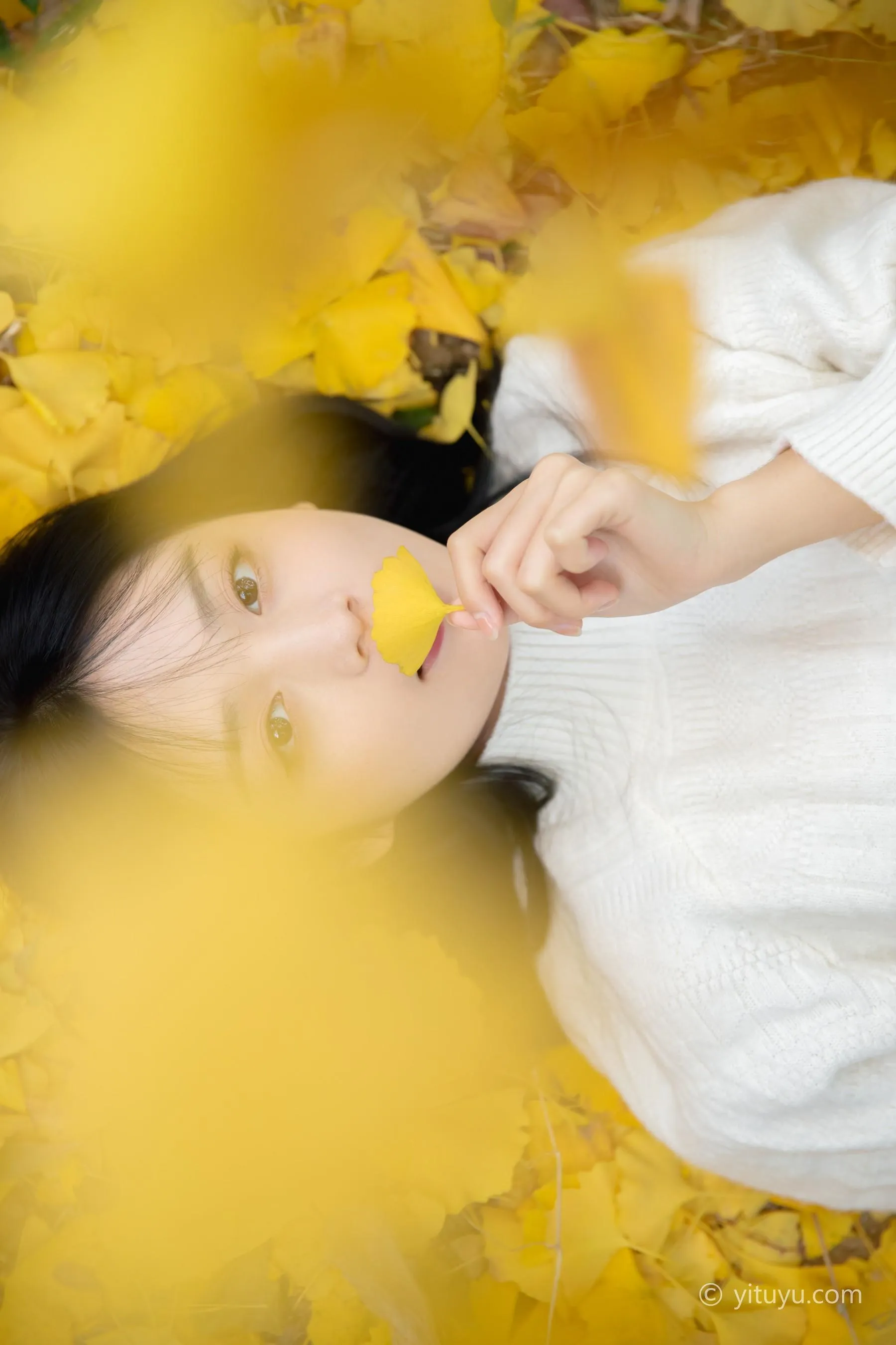 [YITUYU艺图语]2021.08.14 银杏之恋 雨文 [39P]插图1